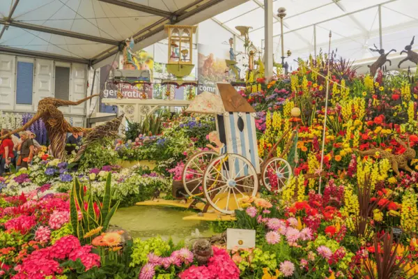 Chelsea flower show
